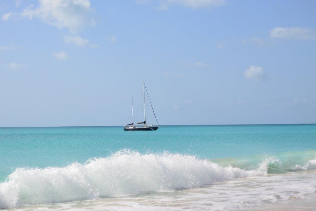 Banner - Segelverein Euploia